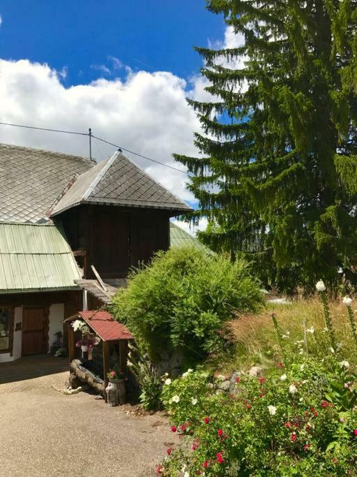 Echtes Schwarzwaldhaus - Traditionell & Modern Bernau im Schwarzwald Esterno foto