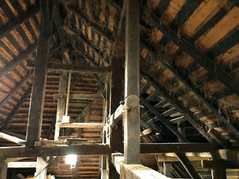 Echtes Schwarzwaldhaus - Traditionell & Modern Bernau im Schwarzwald Esterno foto